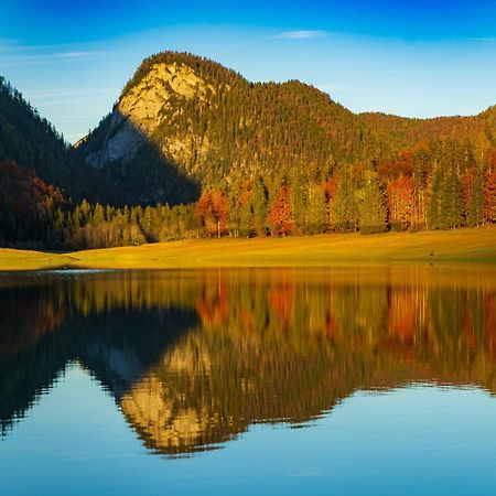 Ferienwohnungen Hollweger Inkl. Chiemgaukarte Ruhpolding Exterior foto